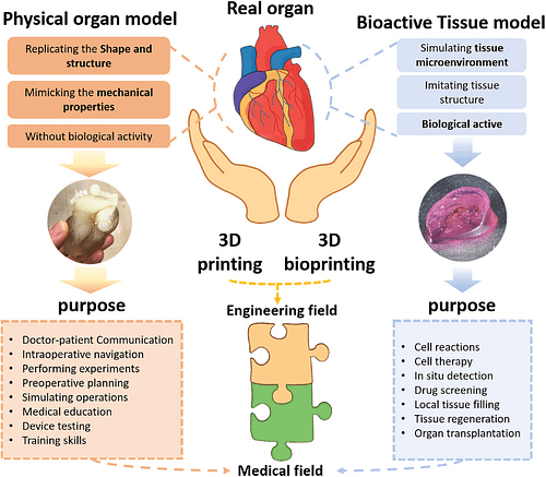 3D Bioprinting application | Futuretechverse